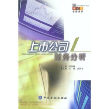 上市公司财务分析