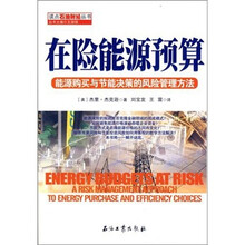 读点石油财经丛书：在险能源预算