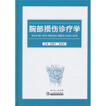 腕部损伤诊疗学
