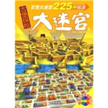 古堡探险大迷宫(附大迷宫动画VCD光盘)