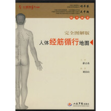 人体经筋循行地图（完全图解版）