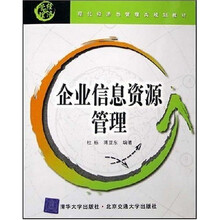 现代经济与管理类规划教材：企业信息资源管理