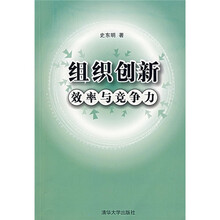 组织创新：效率与竞争力