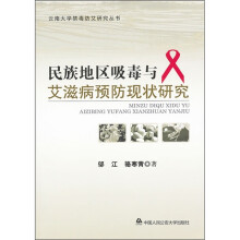 民族地区吸毒与艾滋病预防现状研究