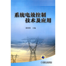 系统电效控制技术及应用