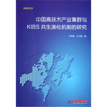 中国高技术产业集群与KIBS共生演化机制的研究