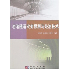 岩溶隧道灾变预测与处治技术