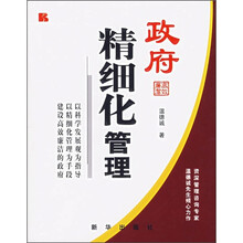 政府精细化管理