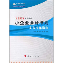 小企业会计准则实务操作指南