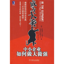 成为大象：中小企业如何做大做强