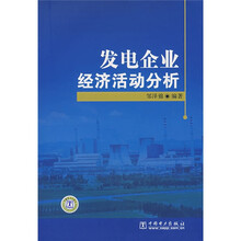 发电企业经济活动分析