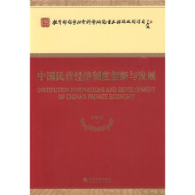 中国民营经济制度创新与发展