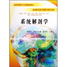 全国高等医学院校配套教材（基础医学复习纲要与强化训练）：系统解剖学