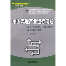 中国流通产业运行问题：基于产业组织及其制度的基础理论考察