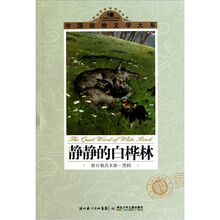 静静的白桦林