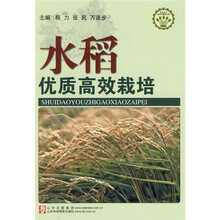水稻优质高效栽培