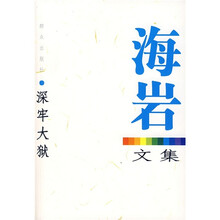 海岩文集:深牢大狱