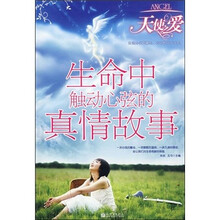 天使之爱：生命中触动心弦的真情故事