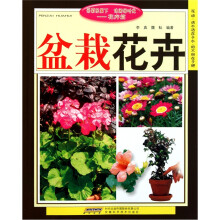 盆栽花卉
