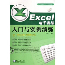 Excel电子表格入门与实例演练(附光盘)