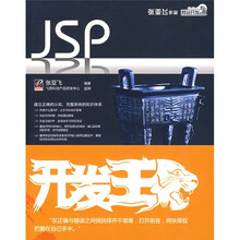 JSP开发王