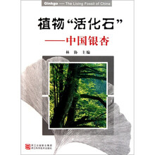 植物活化石：中国银杏