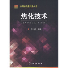 中国洁净煤技术丛书:焦化技术