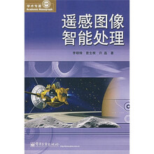遥感图像智能处理