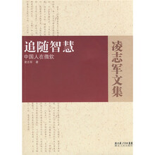 追随智慧：中国人在微软