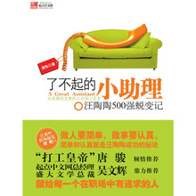 汪陶陶500强蜕变记：了不起的小助理