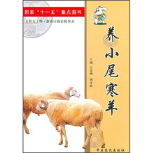 养小尾寒羊
