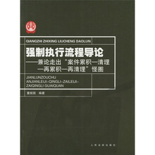 强制执行流程导论:兼论走出“案件累积、清理-再累积-再清理”怪圈