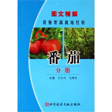 图文精解设施果蔬栽培经验：番茄分册