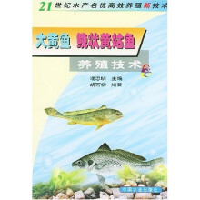 大黄鱼鮸状黄姑鱼养殖技术