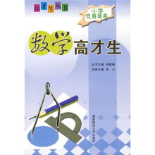 数学高才生(小学竞赛题卷)