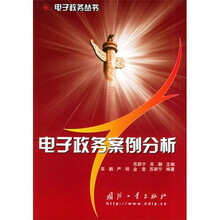 电子政务案例分析