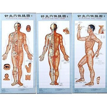 针灸穴位挂图(1-3)(附说明书)
