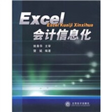 Excel会计信息化