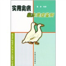 实用禽病临床类症鉴别