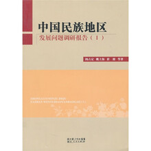 中国民族地区发展问题调研报告1