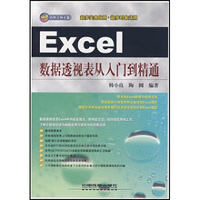 Excel数据透视表从入门到精通（附光盘）