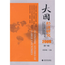 2009大国经济研究(第1辑)