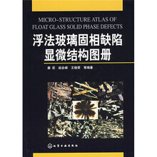 浮法玻璃固相缺陷显微结构图册