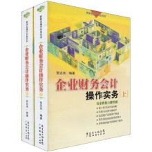 企业财务会计操作实务（套装上下册）