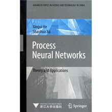 Process Neural Networks