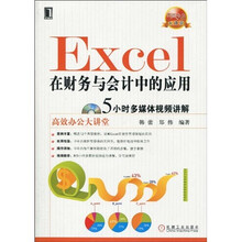 高效办公大讲堂:Excel在财务与会计中的应用(附赠光盘1张)