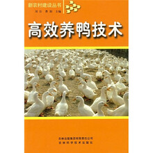 高效养鸭技术