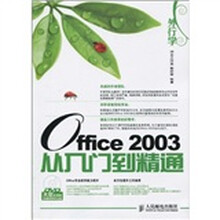 外行学Office 2003从入门到精通(附DVD光盘1张)