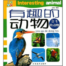 有趣的动物：会飞的动物