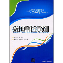 会计电算化全真实训